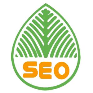 五莲提升网站移动适配的注意事项